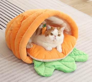 Calming Cozy Soft Cat Cave, Cute Friendly Dolphin Kitten On The Bed For Indoor Cats