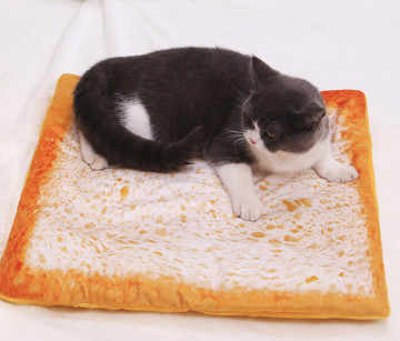 Pizza Cat Bed Set Warm Dog Pad Winter Cat Blanket