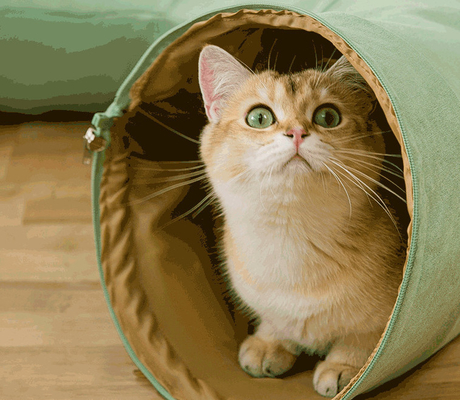 Washable Cushion Cat Tube Bed Double Sided Suede With Central Mat