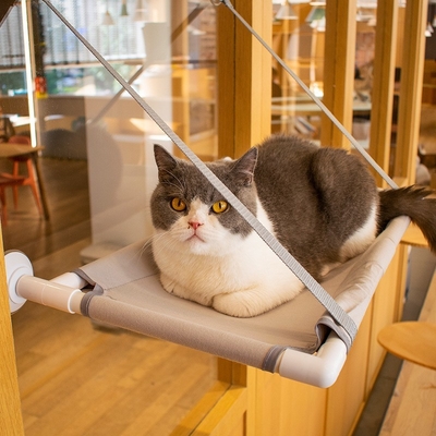 Suction Cup Universal Small Cat Window Perch High Beauty Fashionable Cat Hammock