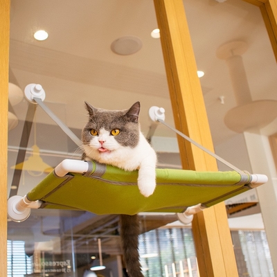 Suction Cup Universal Small Cat Window Perch High Beauty Fashionable Cat Hammock