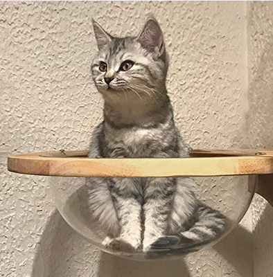 Mounted Wooden Cat Space Clear Capsule Sphere Cat Bed