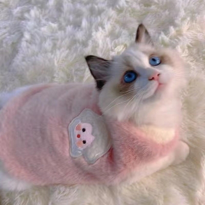 Fashion And Textile Joyful Style Pet Vests Clothing For Pets Quality Clothes For Pets