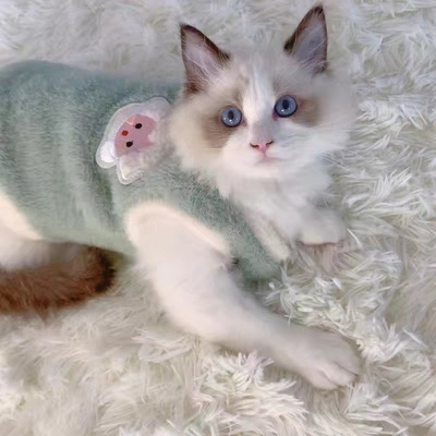 Fashion And Textile Joyful Style Pet Vests Clothing For Pets Quality Clothes For Pets