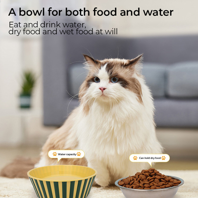Wholesale Stainless Steel Pet Bowls anti-slip cat feeding bowls Dog Bowls