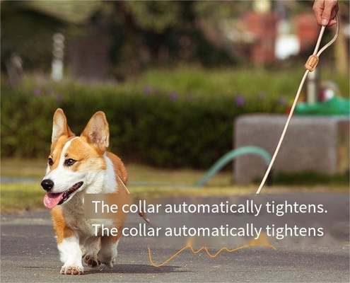 Mesh Dog Leash Training Dog P Chain Flush Adjustable Dog Leash