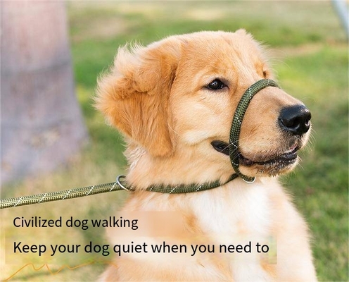 Mesh Dog Leash Training Dog P Chain Flush Adjustable Dog Leash