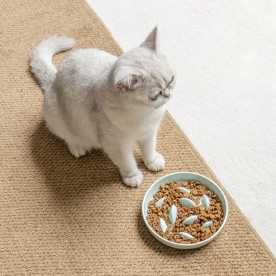 Pet Ceramic Cat Bowl Slow Food Bowl Anti-Choking Anti-Spill Anti-Knock Dog Slow Feeder Bowl