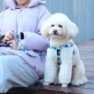 Pet Printed Harness Medium And Large Dogs Anti Breakaway Vest Style Leash