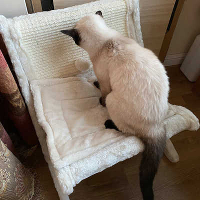 Pet Cat Sofa Bed Sunbathing Chair Sleeping Recliner Cat Scratching Board Cat Scratching Board