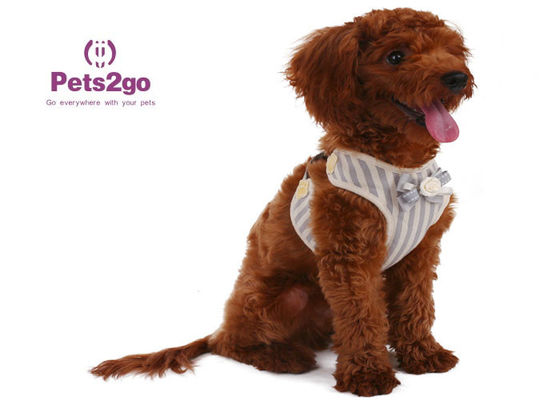 All Seasons 104g 120cm Neoprene Dog Walking Vest
