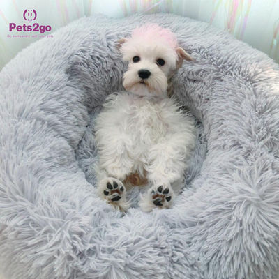 Super Comfort 55cm*35cm Head Neck Support 800g Pet Bed Mat