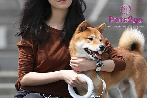 3m Hands Free Polyester Retractable Pet Leash