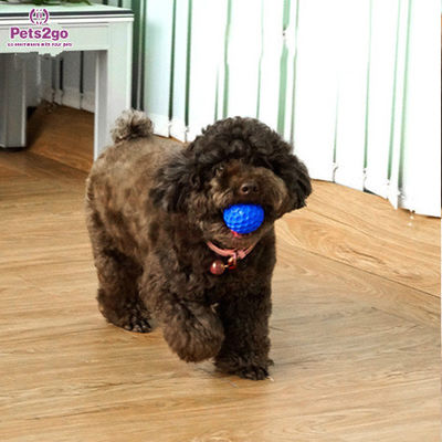 non toxic Interactive Rubber 86mm Dog Play Ball