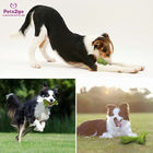 Interactive 166x64mm Pet Chew Toys For Small Animals