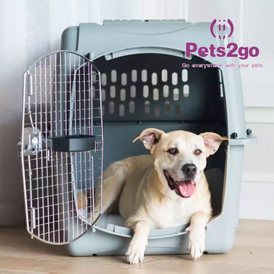 High Transparency 36X40CM 1.70KG PVC Pet Carrier Cage