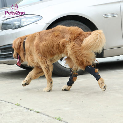 Joint Protection SBR Dog Knee Pad for Surgery Recovery