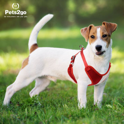 Nylon Oxford Lightweight 122G Comfort Dog Harness