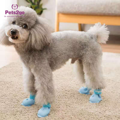 All Seasons Enamel PVC Little Dog Shoes for Teddy