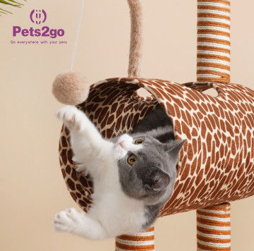 Indoor Giraffe Shaped 0.9kg Cat Climbing Frame