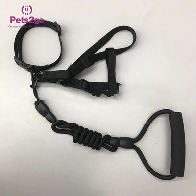 S Size Nylon Stocked 500cm*1cm Dog Leash Rope