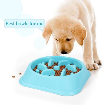 Non Toxic Preventing Choking Slow Eating Pet Bowl For Dog