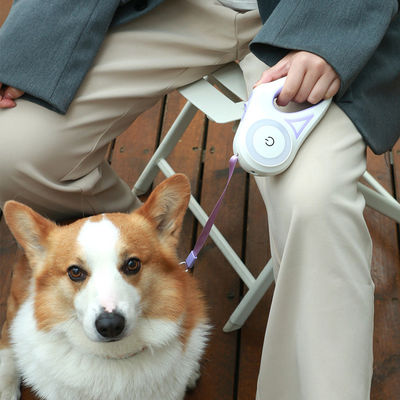 Strong Extendable Dog Lead Retractable Lead For Large Dogs Fancy Dog Leash