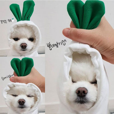 Autumn And Winter Cotton Plush Hooded Sweater For Pet