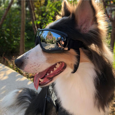 Uv Wind Dust Protection 0.5kg Dog Sunglasses With Adjustable Strap