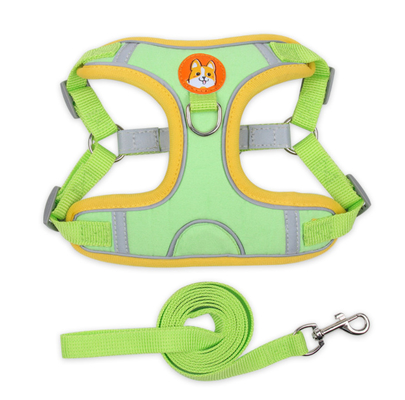 Best Dog Harness For Large Dogs That Pull Harness Collar Leash Set Amazon Dog Harness No Pull