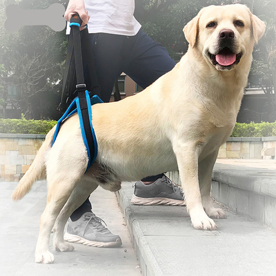 Auxiliary Belt Leg Support Pet Harness Leash For Disability Injury High Aged Dog