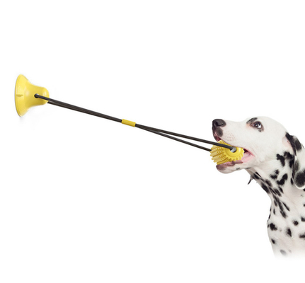 Puppy Hard Rubber Chew  Bone Toys For Aggressive Chewers