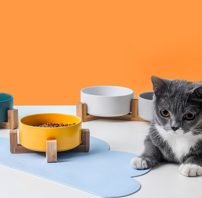 High Feeding Station Elevated 18cm Slow Food Bowl For Cats