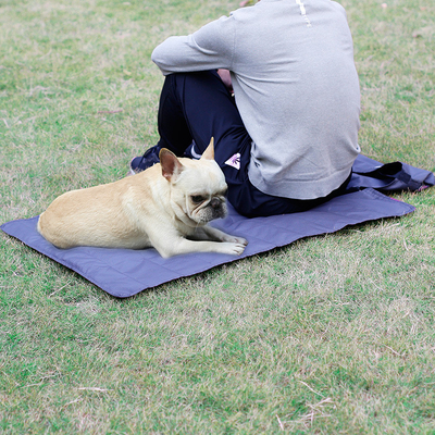 Outdoor Waterproof Warm Pet Blanket Folding Portable