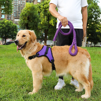 Waterproof Heavy Duty Retractable Dog Lead For Big Dogs Nylon