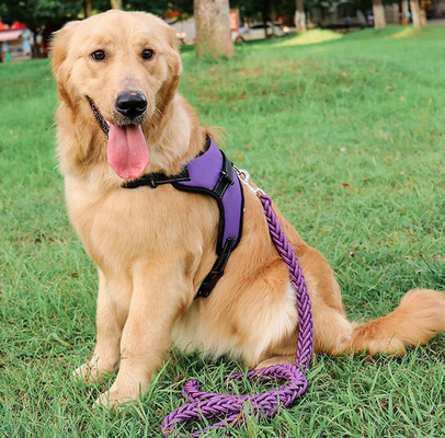 Waterproof Heavy Duty Retractable Dog Lead For Big Dogs Nylon