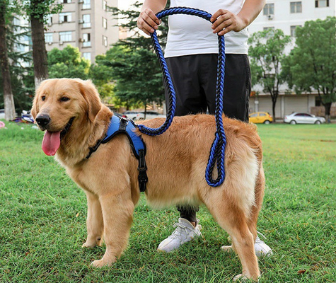 Waterproof Heavy Duty Retractable Dog Lead For Big Dogs Nylon