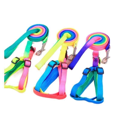 Colorful Pet Traction Rope Nylon Quick Release For Dog
