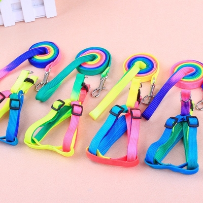 Colorful Pet Traction Rope Nylon Quick Release For Dog