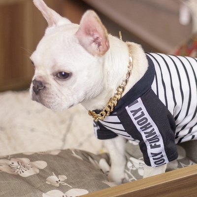 Rechargeable Metal Big Dog Gold Chain Summer Pet Fashion Accessories