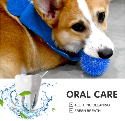 Interactive Natural Rubber Dog Chew Toys Eco Friendly