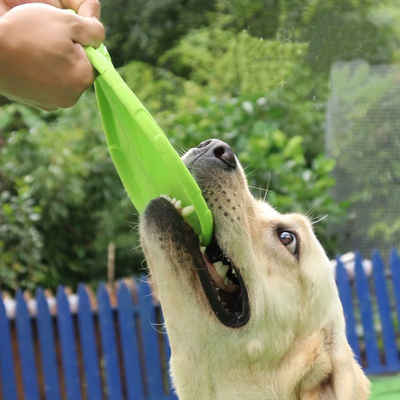 Hard Rubber Chew Toys For Dogs Indoor Interactive Eco Friendly