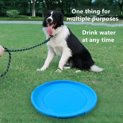 Hard Rubber Chew Toys For Dogs Indoor Interactive Eco Friendly