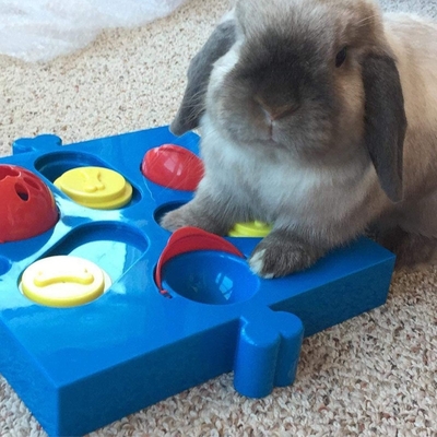 Dog Brain Training Toys Difficult Dog Puzzles Best Dog Puzzle Toys 2020