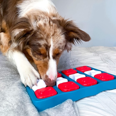 ABS Interactive Food Puzzles For Dogs Blue Color