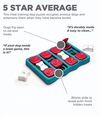 ABS Interactive Food Puzzles For Dogs Blue Color