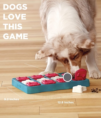 ABS Interactive Food Puzzles For Dogs Blue Color