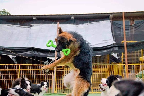 Best Rubber Chew Toys For Dogs Heavy Aggressive Chewers Tooth Cleaning