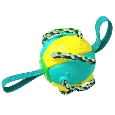 New Popular Amazon Outdoor Training Frisbee Interactive Football Dog Toy