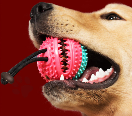 Chewy Dispensing Proof Dog Puzzle Training Ball On Rope For Dogs Puppies